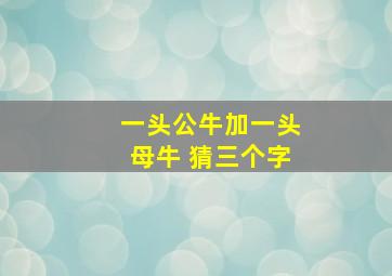 一头公牛加一头母牛 猜三个字